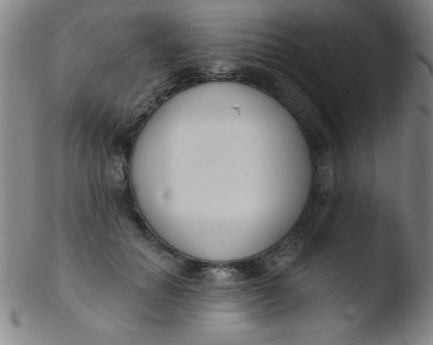 X0000103470654200809261905