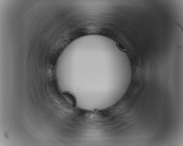 X0000103470655200809261905