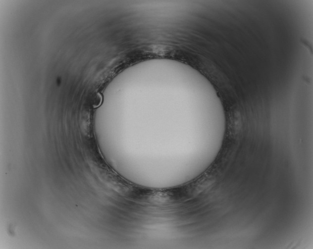 X0000103470656200809261905