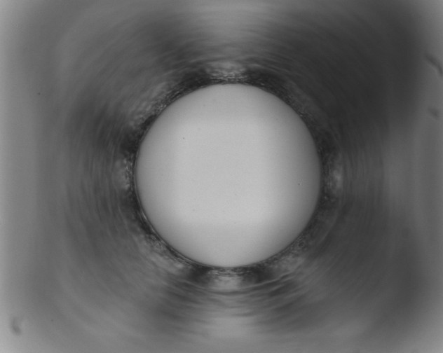 X0000103470658200809261905