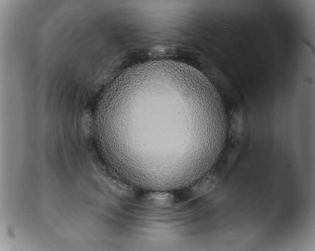 X0000103470659200809261905