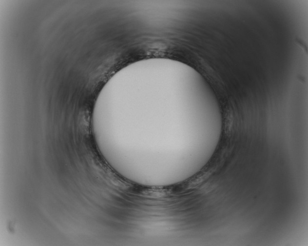 X0000103470661200809261905