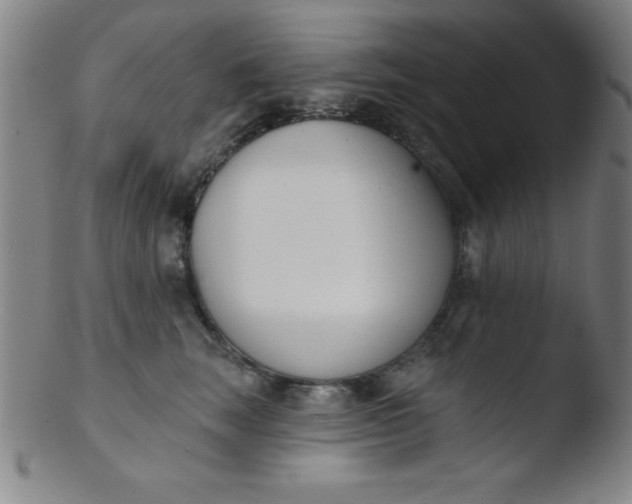 X0000103470663200809261905