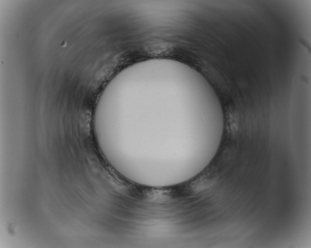 X0000103470664200809261905