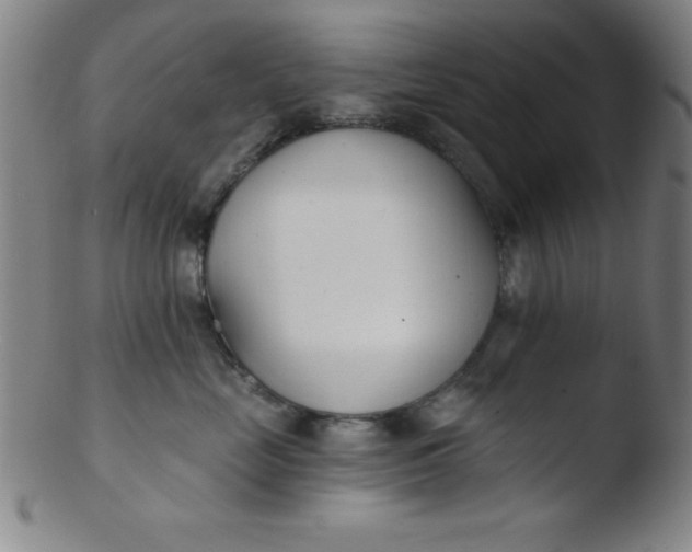 X0000103470669200809261906