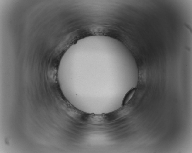 X0000103470671200809261906