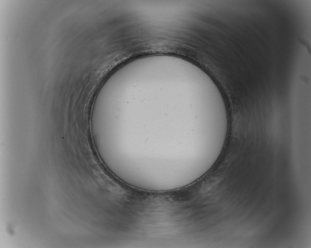 X0000103470673200809261905