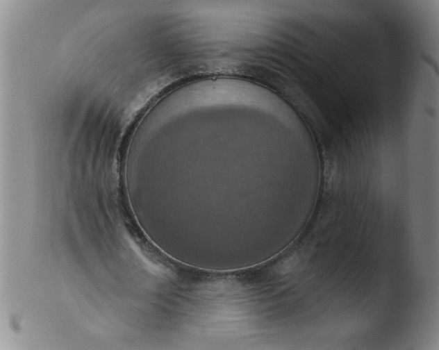 X0000103470674200809261905