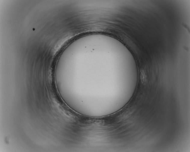 X0000103470676200809261905