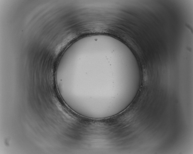 X0000103470677200809261905