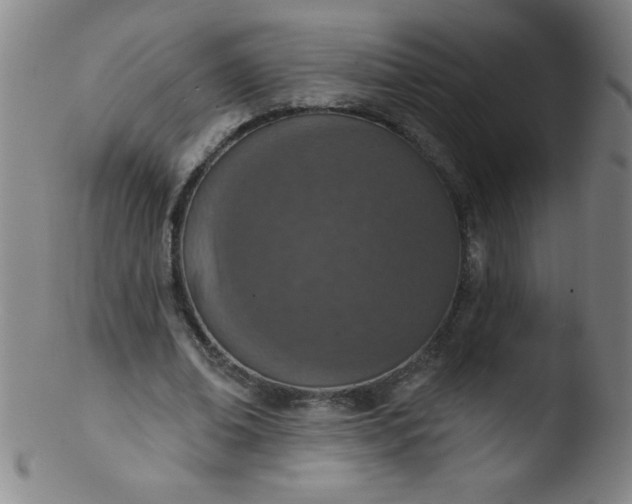 X0000103470678200809261905