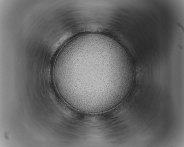 X0000103470679200809261905