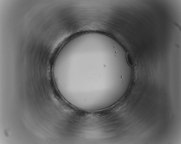 X0000103470680200809261905