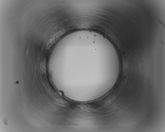 X0000103470681200809261905