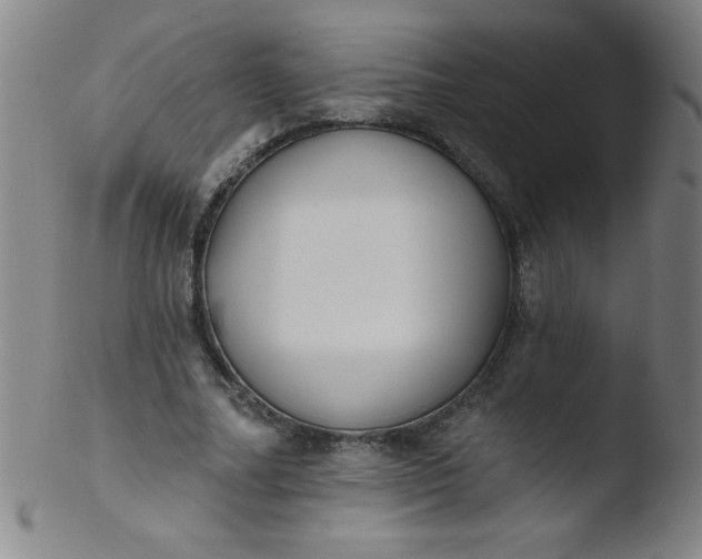 X0000103470682200809261905