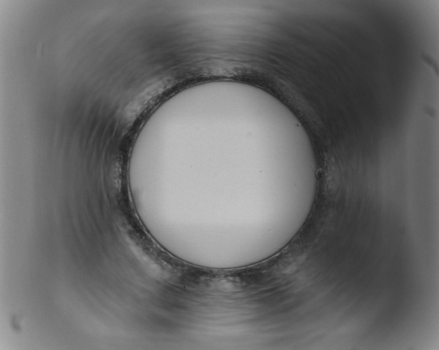 X0000103470683200809261905