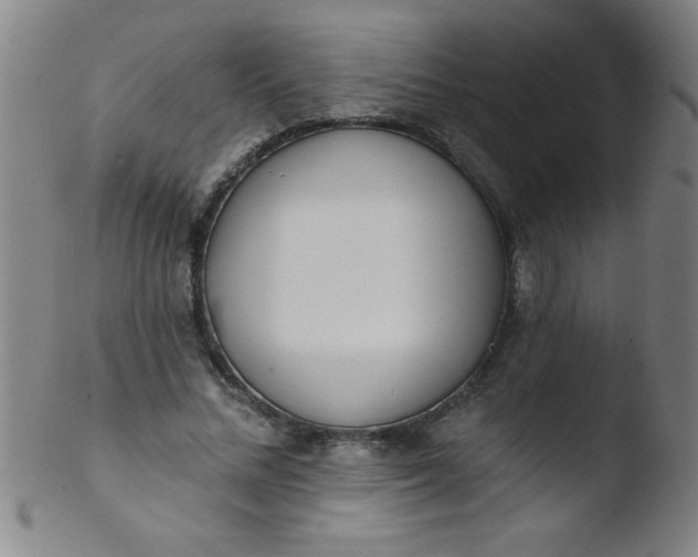 X0000103470684200809261905