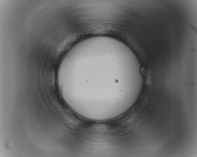 X0000103470685200809261905