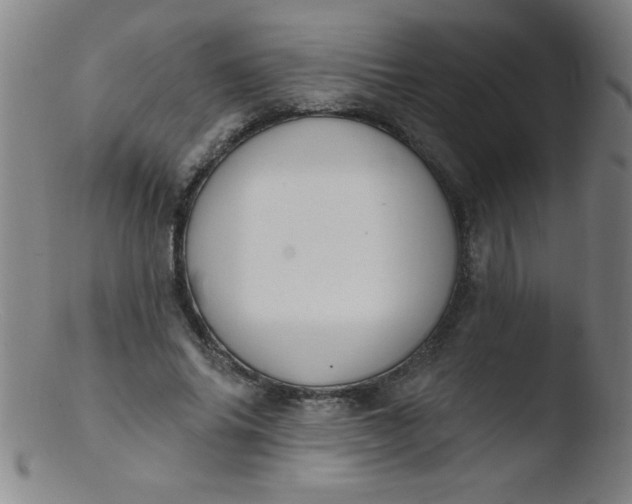 X0000103470686200809261905