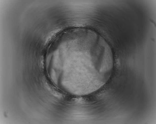 X0000103470688200809261905