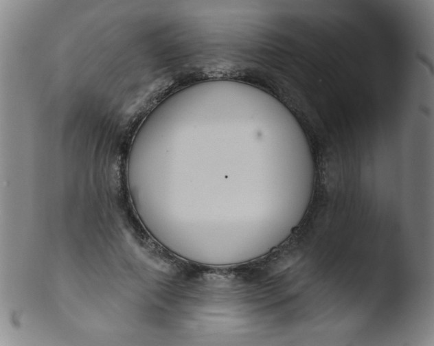 X0000103470690200809261905