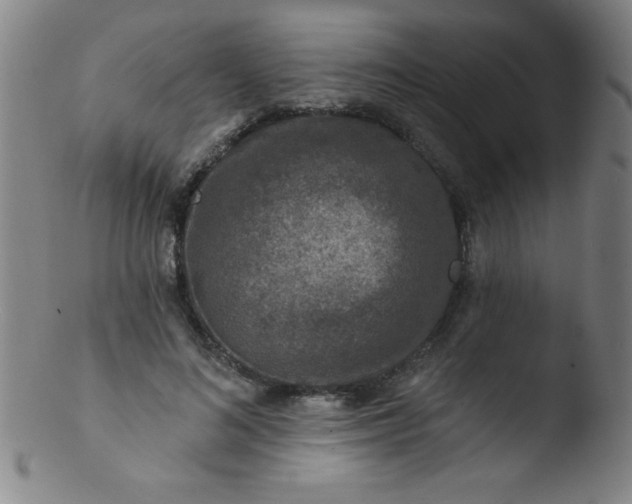 X0000103470692200809261905