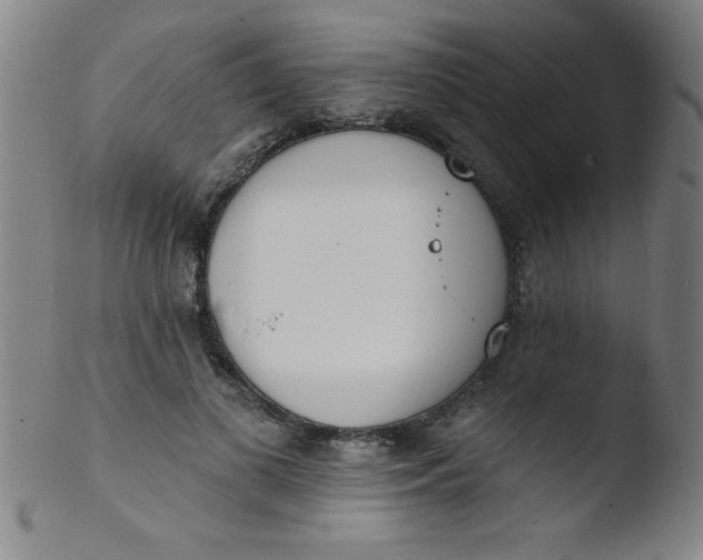 X0000103470693200809261905