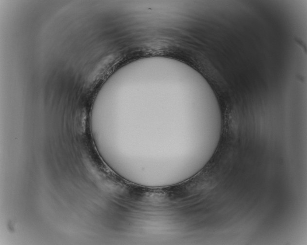 X0000103470694200809261905