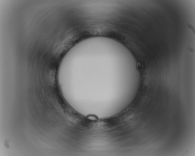 X0000103470695200809261905