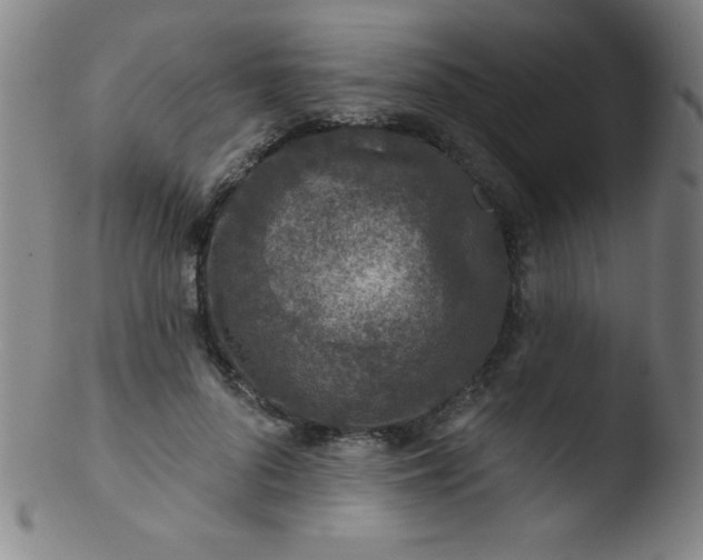 X0000103470696200809261905