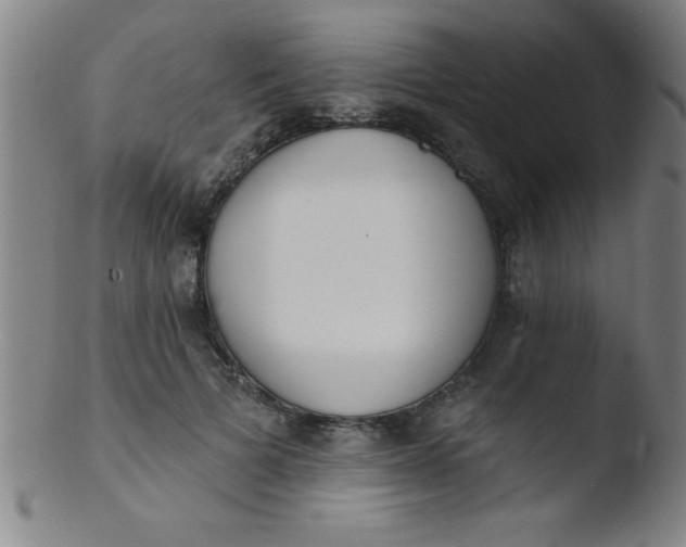 X0000103470697200809261905