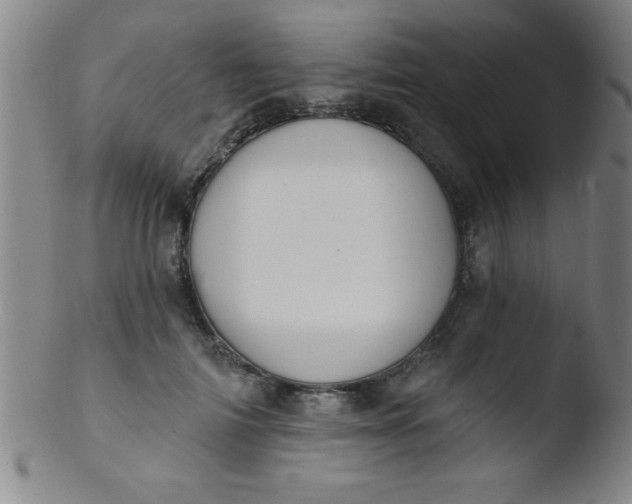 X0000103470698200809261905