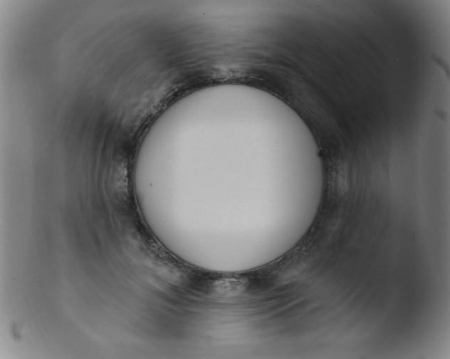 X0000103470700200809261905