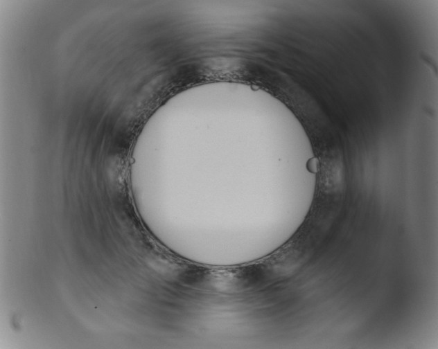 X0000103470701200809261905