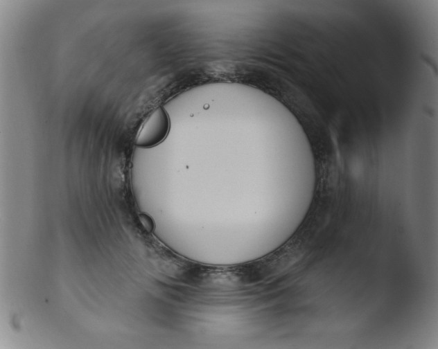 X0000103470702200809261905