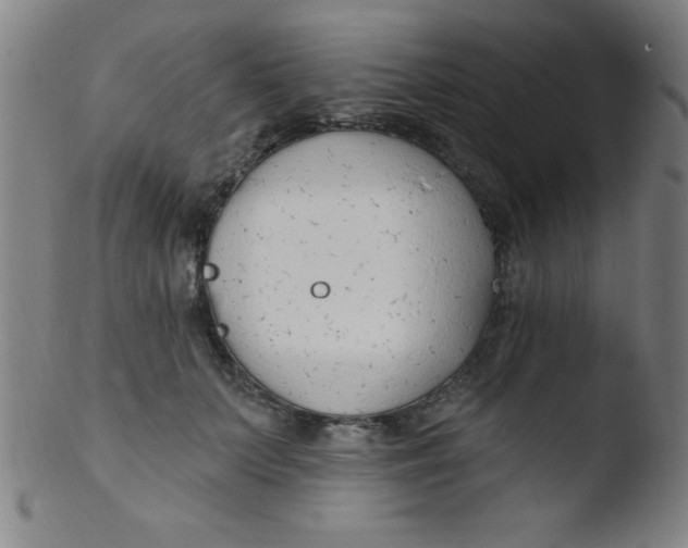 X0000103470703200809261905