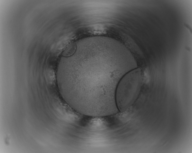 X0000103470704200809261904