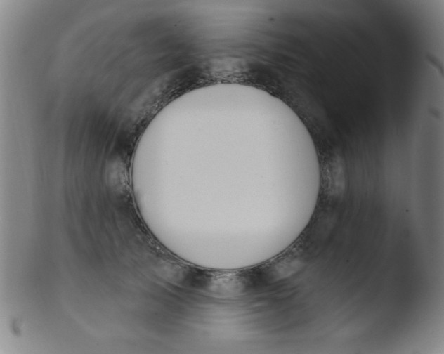 X0000103470705200809261904