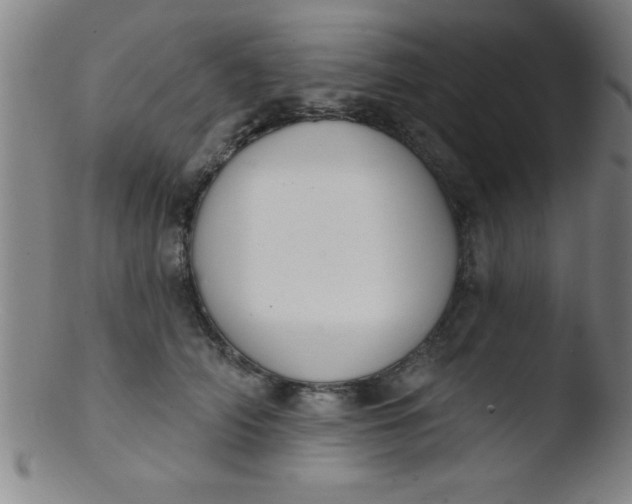 X0000103470706200809261904