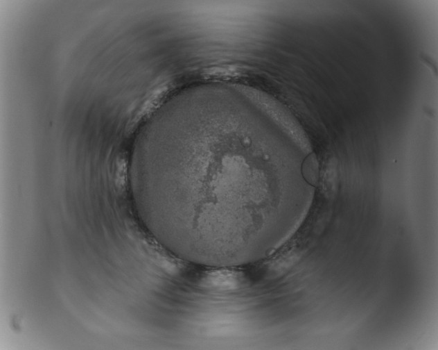 X0000103470708200809261904