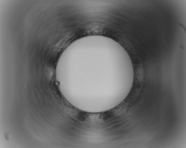 X0000103470709200809261904