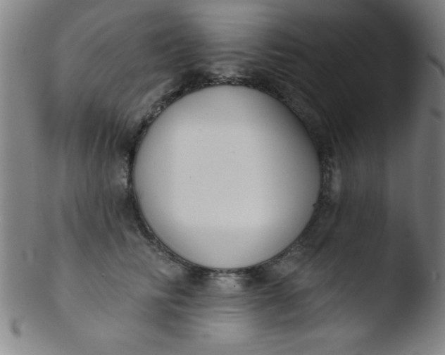 X0000103470710200809261904