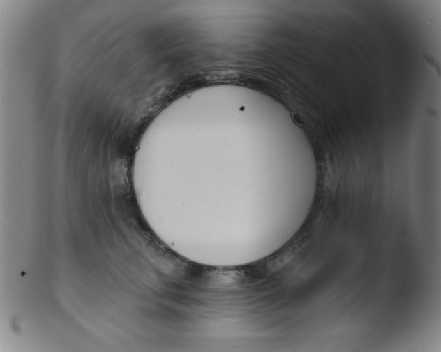 X0000103470711200809261904