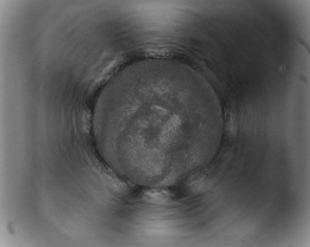 X0000103470712200809261904