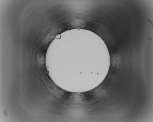 X0000103470713200809261904