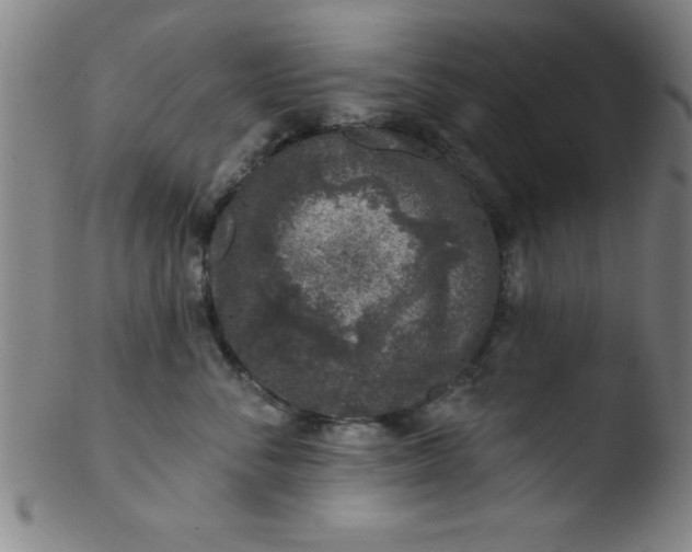 X0000103470716200809261904