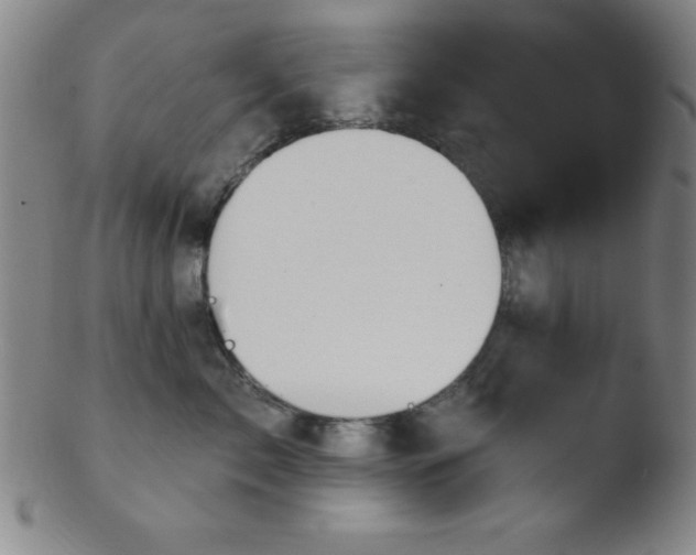 X0000103470717200809261904