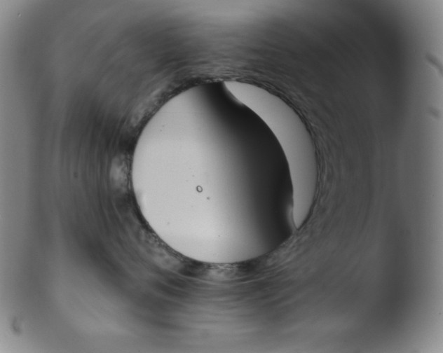 X0000103470720200809261904