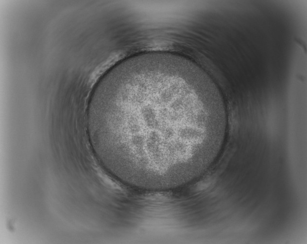 X0000103470721200809261903