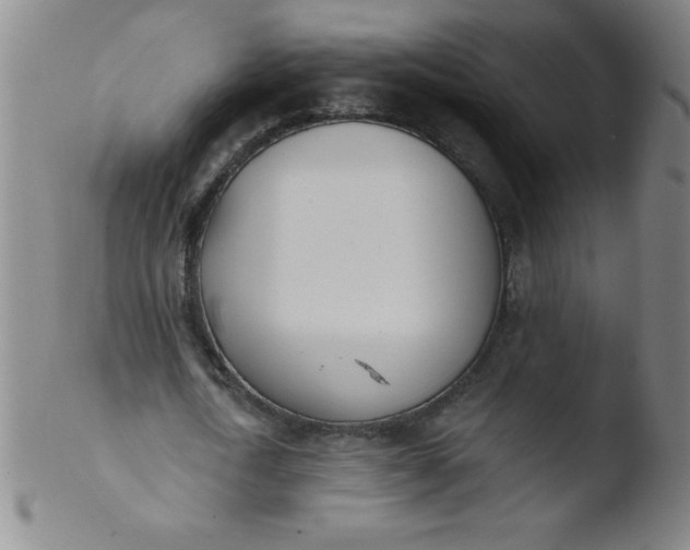 X0000103470722200809261903